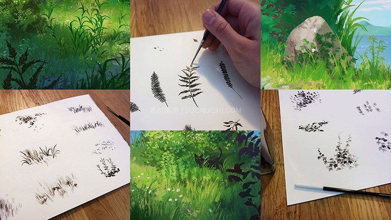 60+���������PS+Procreateֲ���ˢ