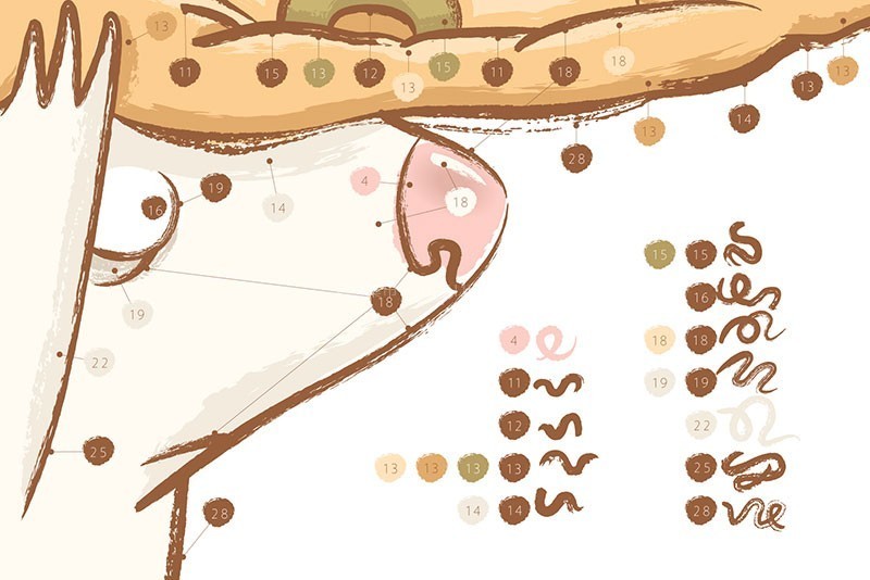 Adobe Illustratorʽ˱ʸˢ