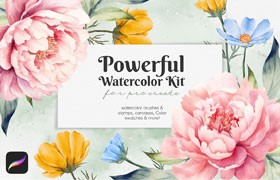 Procreate����ˮ�ʱ�ˢ��װ