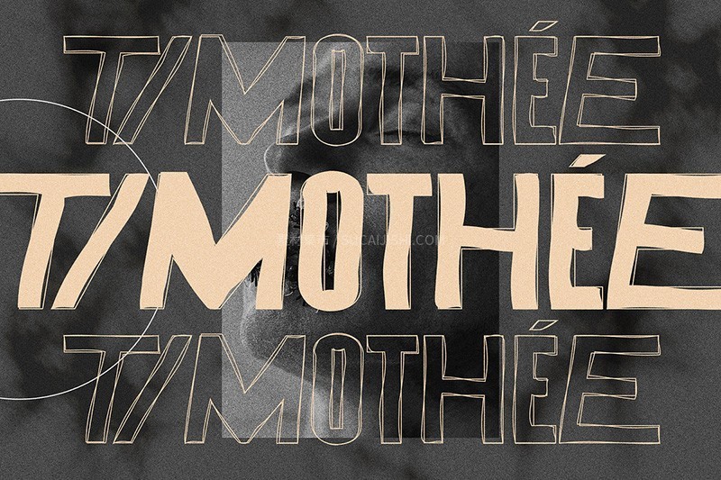 8���ҰȤͿѻӢ����д�����