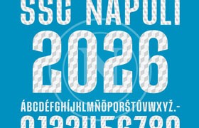 �ǲ���˹������ֲ� 2025/2026 ����ŷ����������