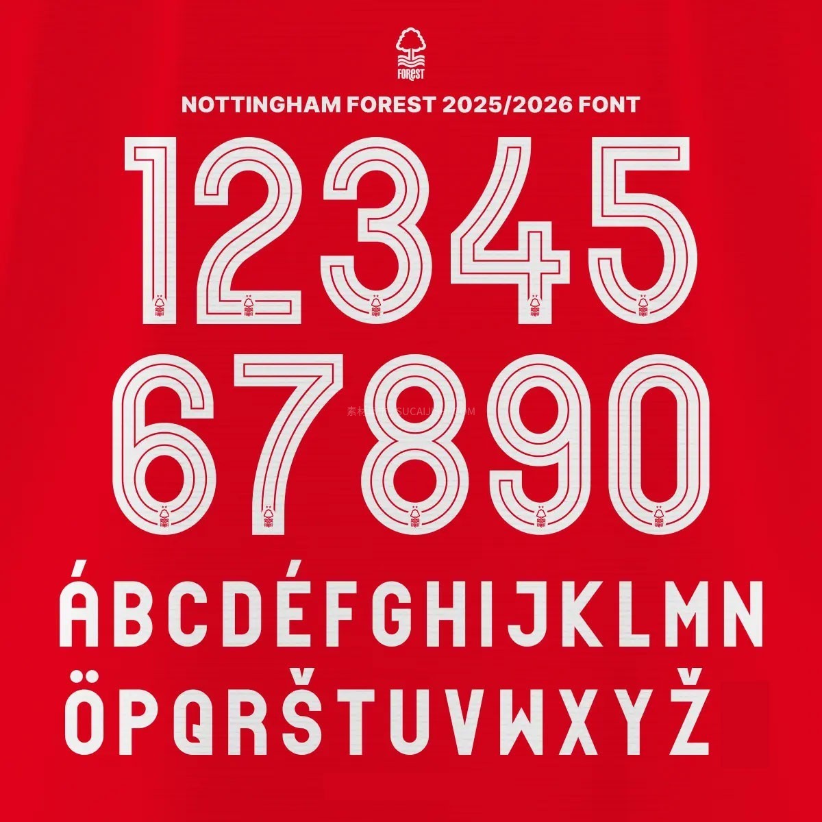 ŵ����ɭ�� 2025/2026 ���ֲ���������