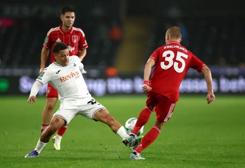 ŵ����ɭ�� 2025/2026 ���ֲ���������