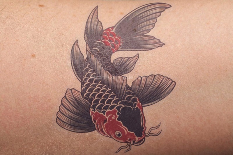 ��������Ƥ���ں�Ч��PSDģ��