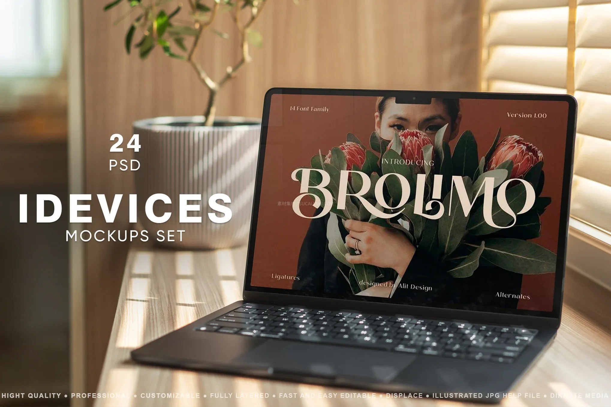 24����ʸ�ƻ���豸չʾ����ģ��PSD