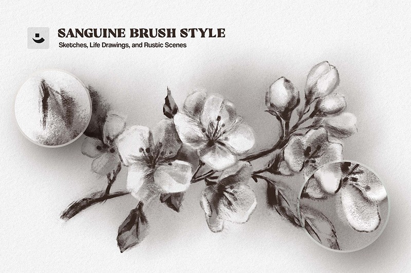 10֧�����ʸ�̿�������ˢ��װ��Procreate/PS/Affinity��