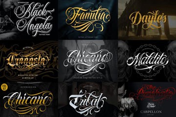 40��߼��������ط�Ӣ������ϼ�