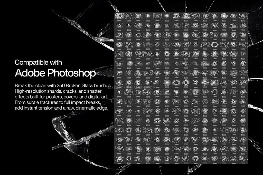 200+������ʵ��������PS��ˢ