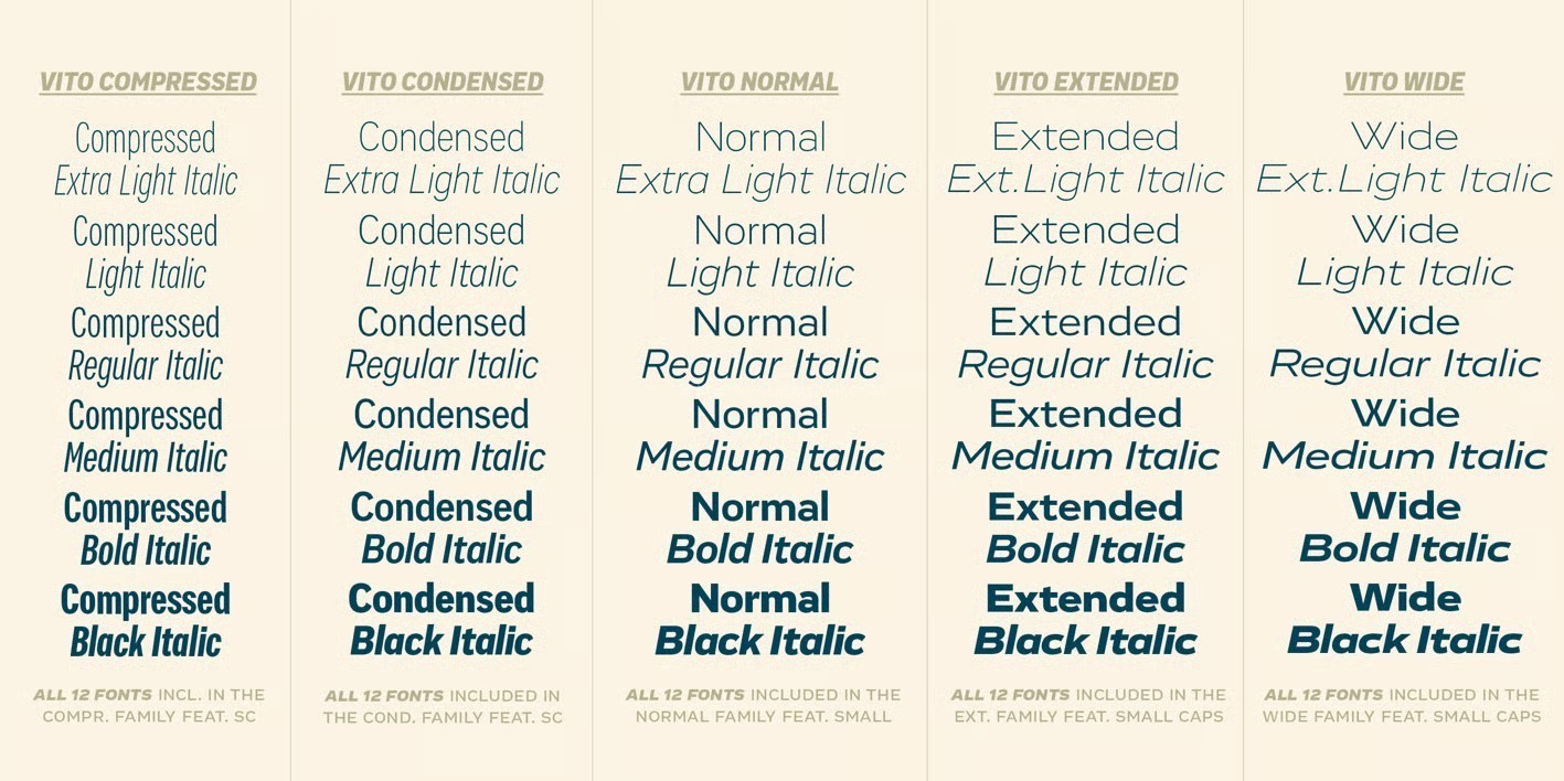 Vito���ŵ�ȫ���޳����������