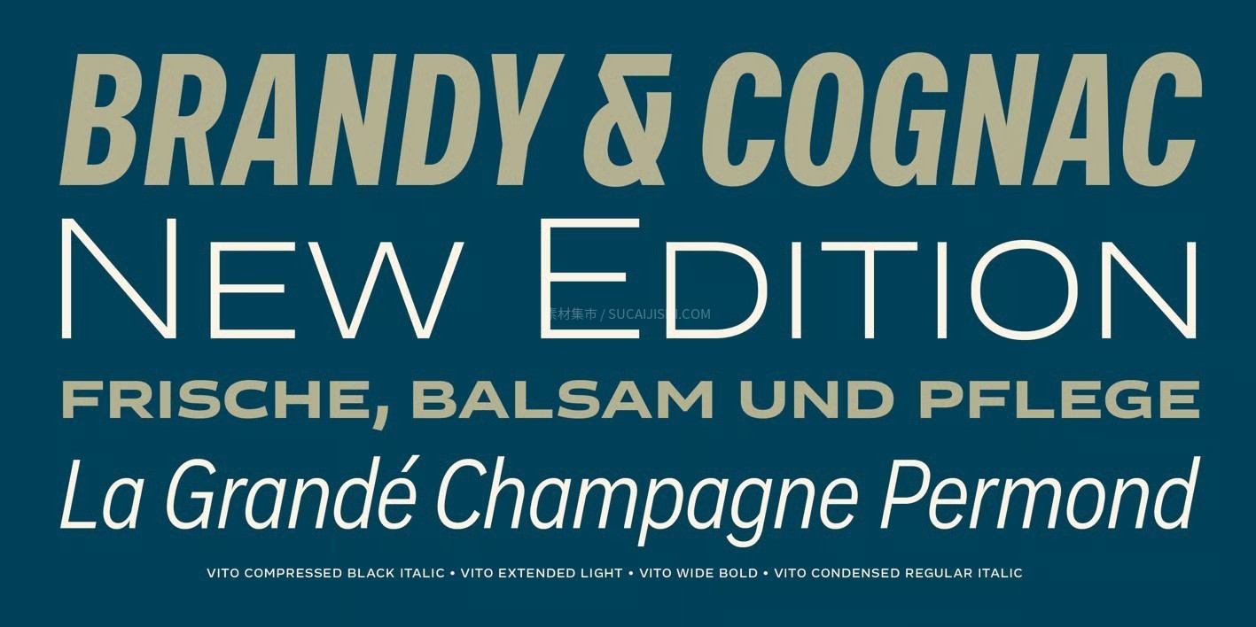 Vito���ŵ�ȫ���޳����������