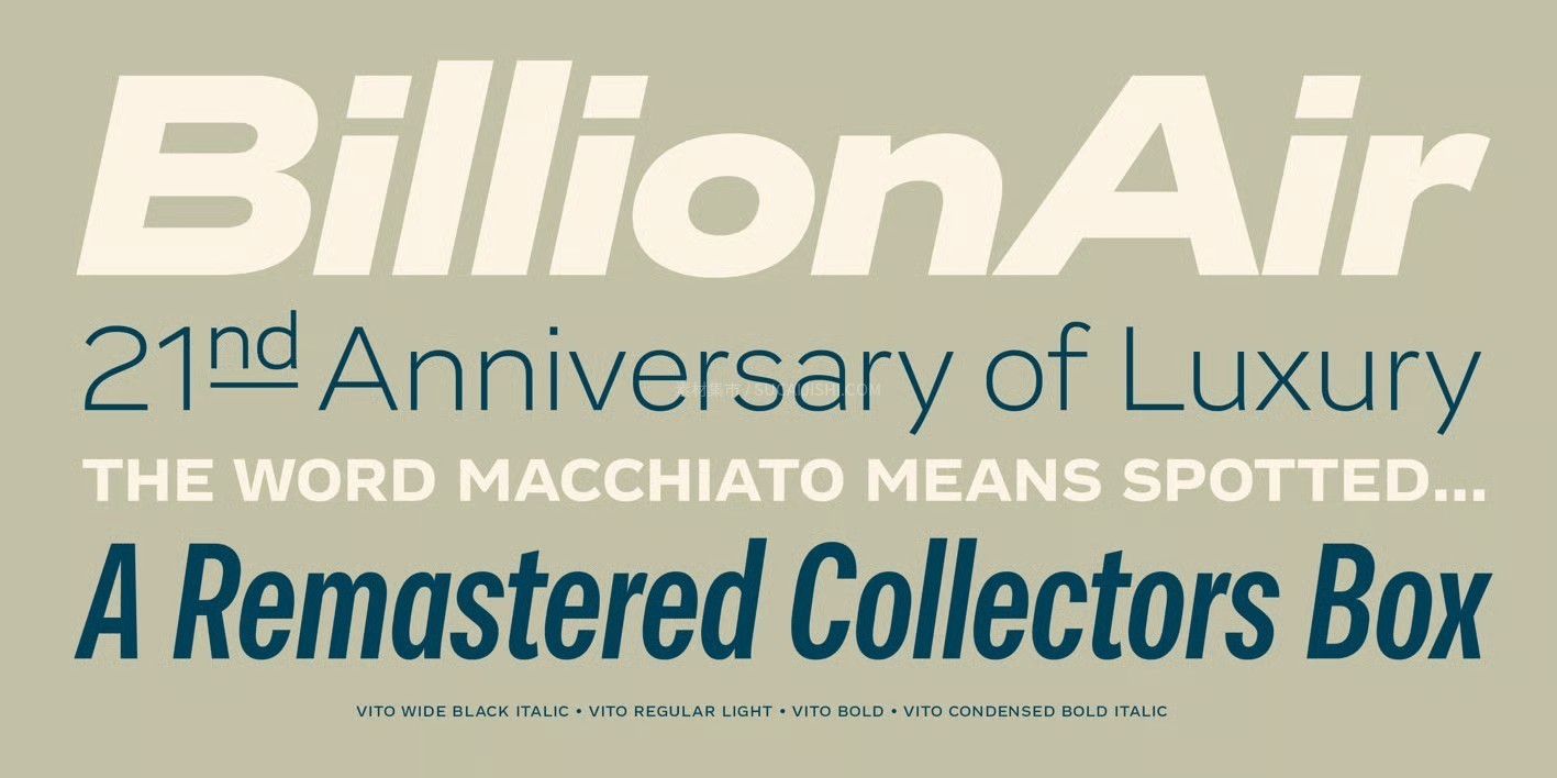 Vito���ŵ�ȫ���޳����������