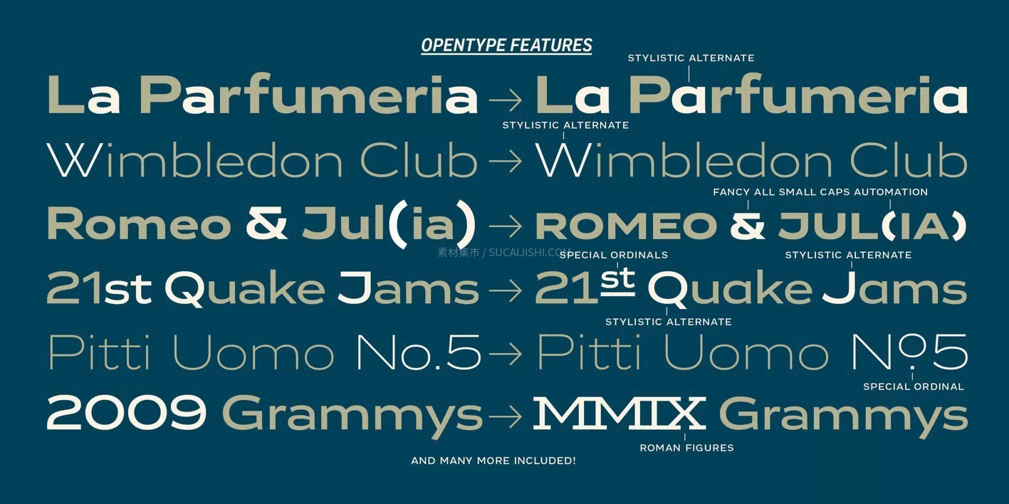 Vito���ŵ�ȫ���޳����������