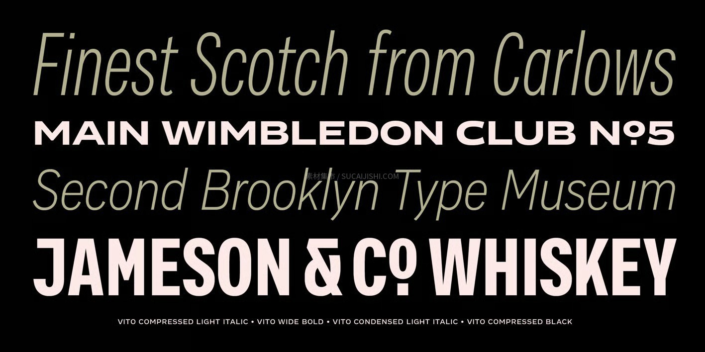 Vito���ŵ�ȫ���޳����������