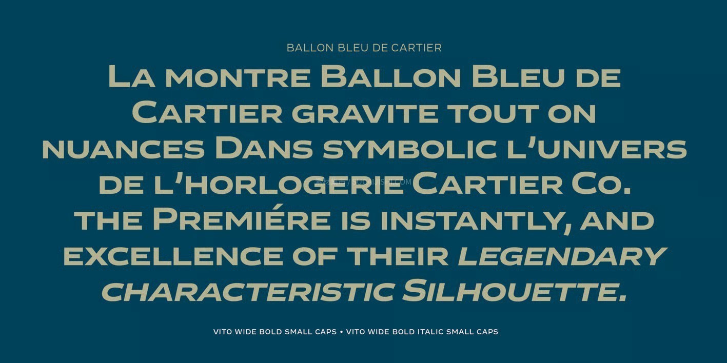 Vito���ŵ�ȫ���޳����������