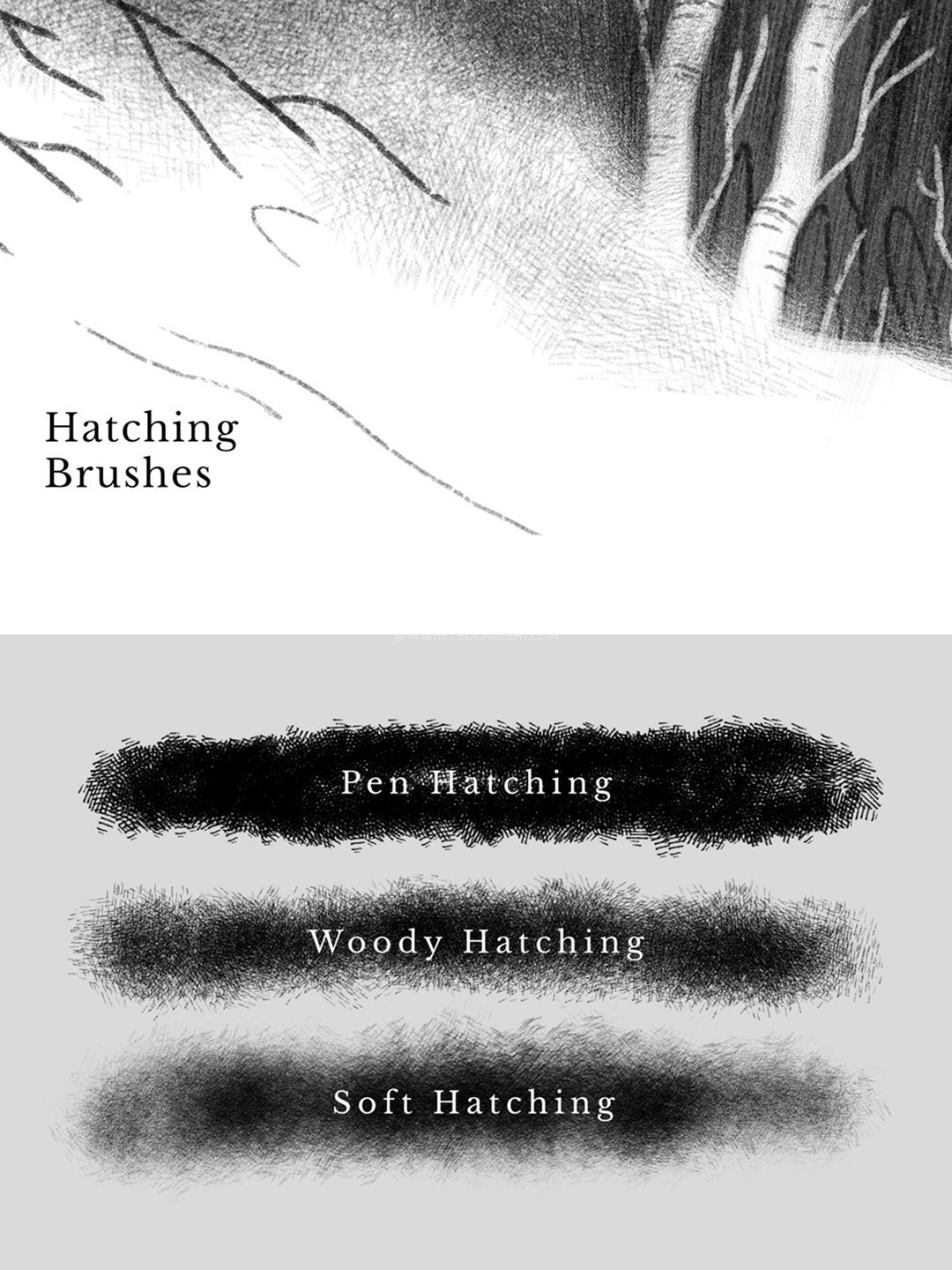 Photoshop����������ӰTPL��ˢ