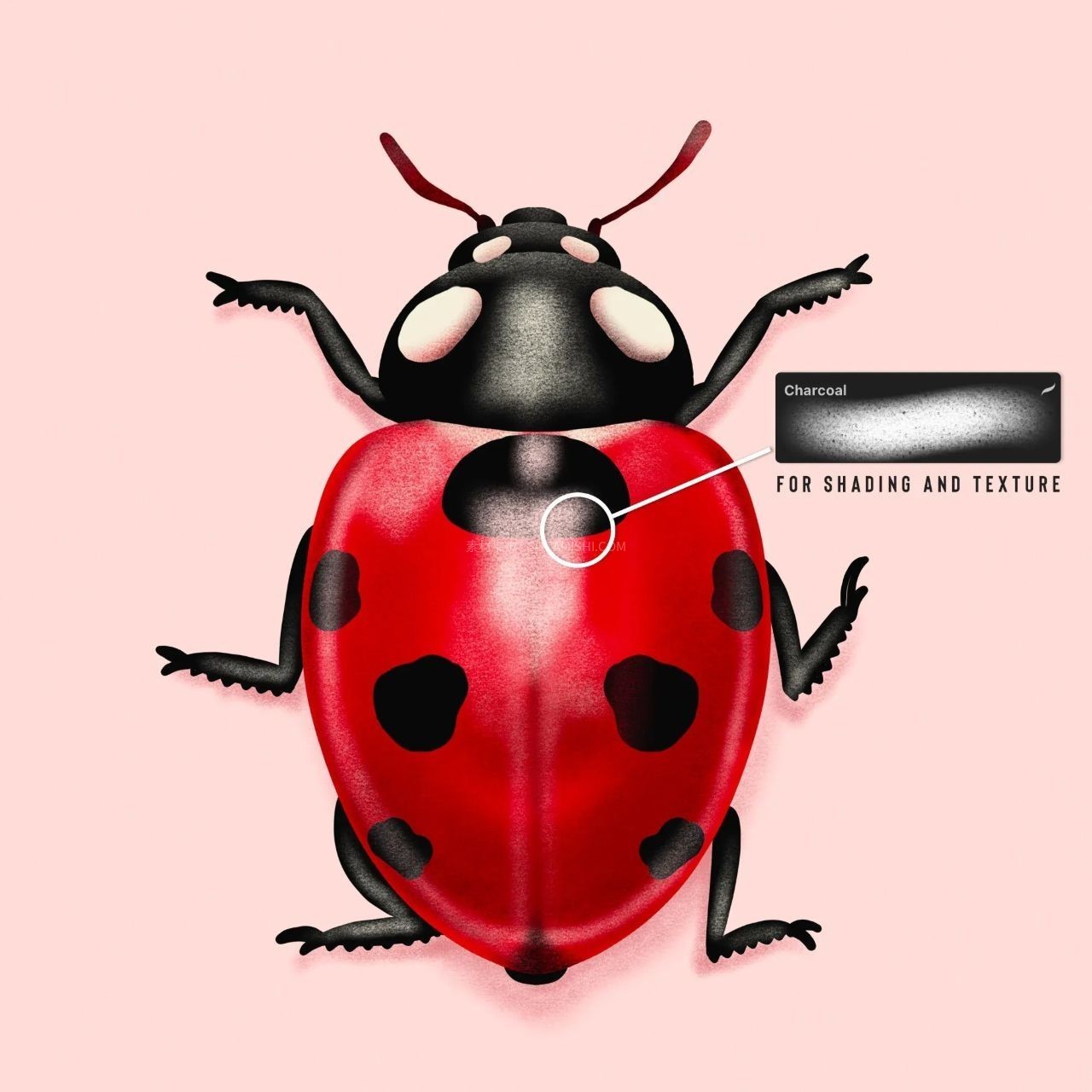 20+Procreate��������Ӱ���ɱ�ˢ