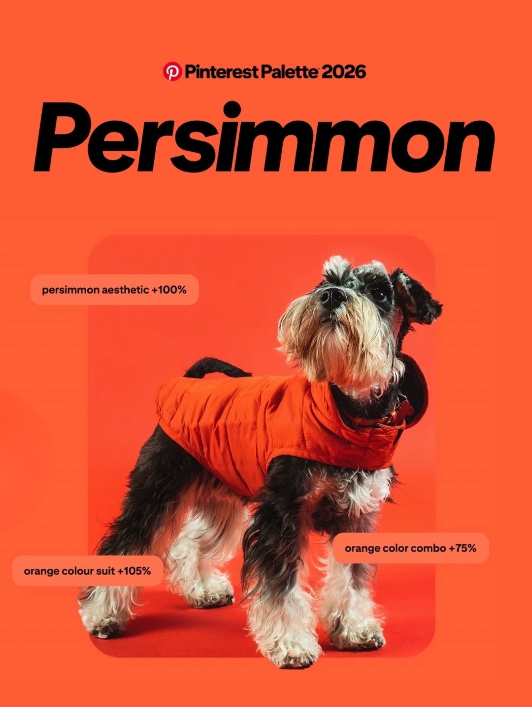 Persimmon�����Ӻ죩