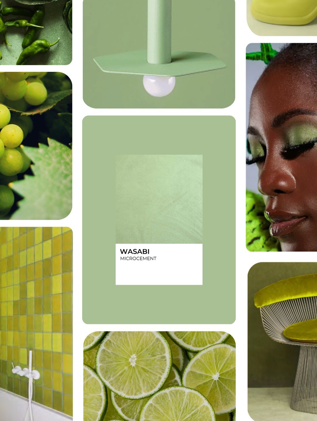 Wasabi����ĩ�̣�