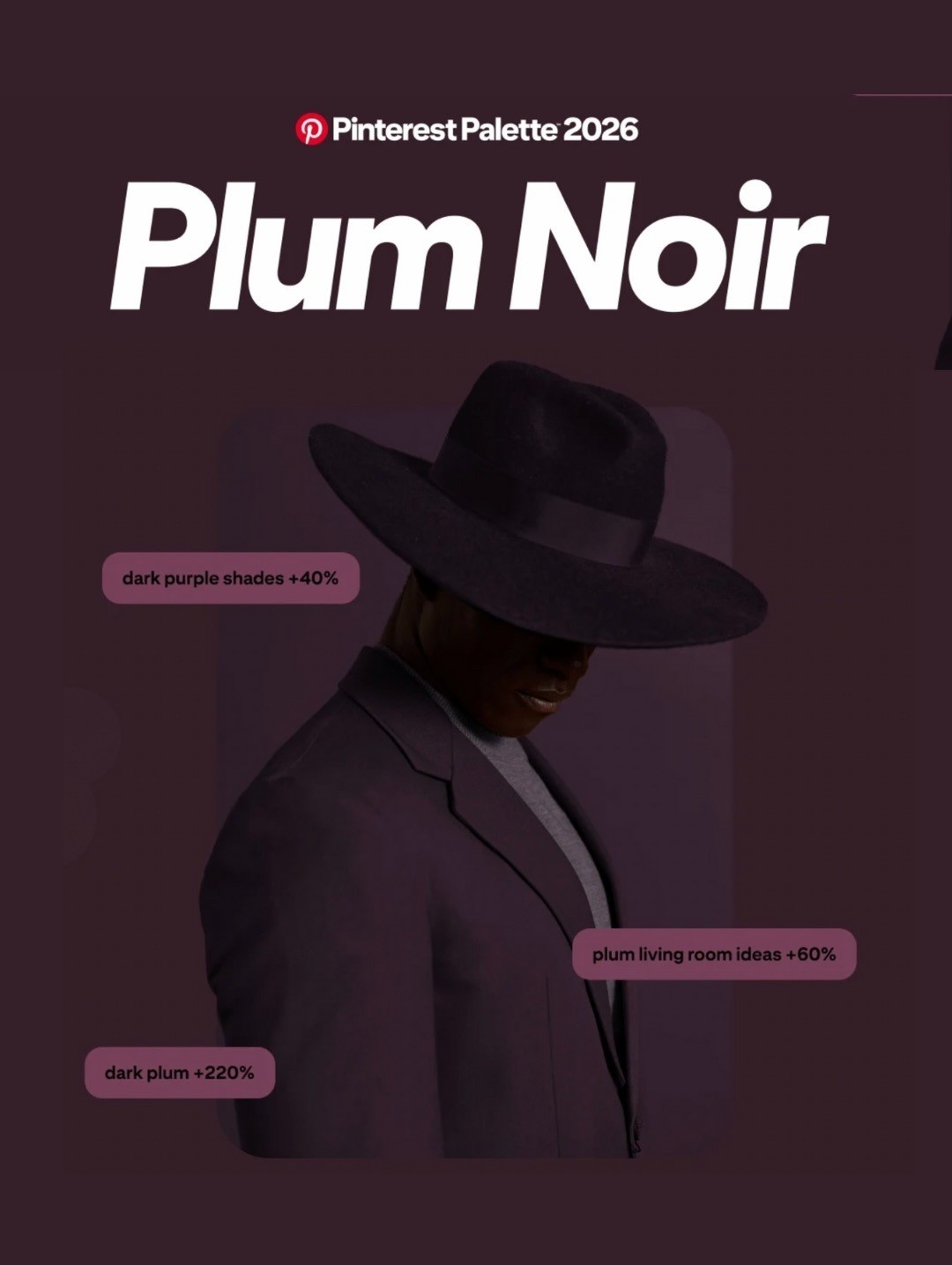 Plum Noir����÷�ϣ�