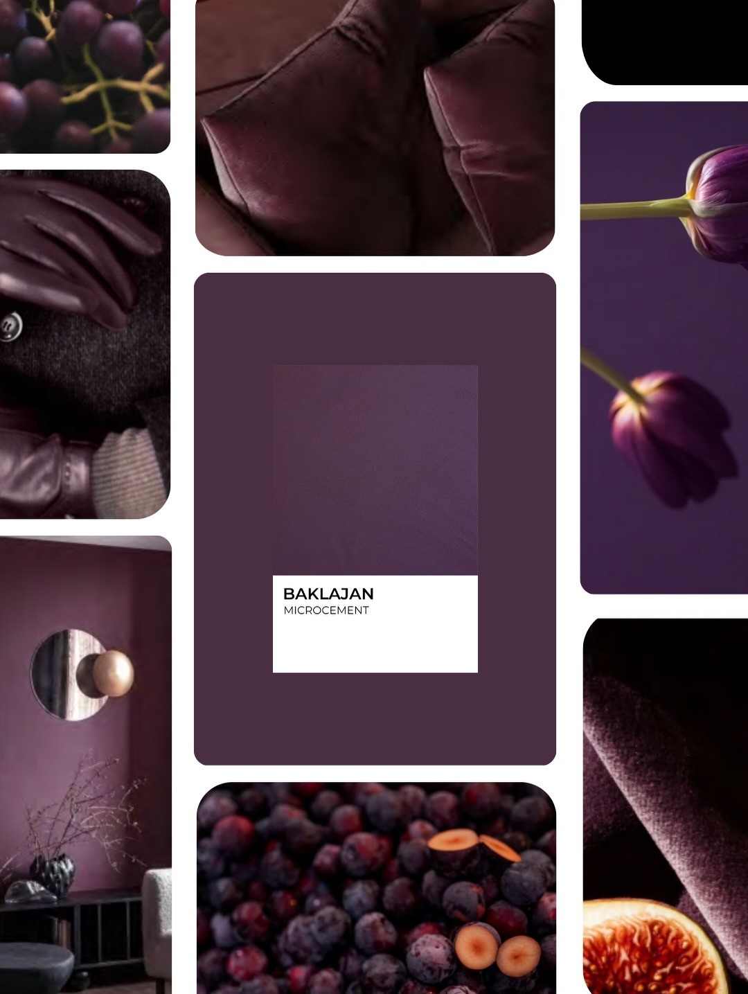 Plum Noir����÷�ϣ�