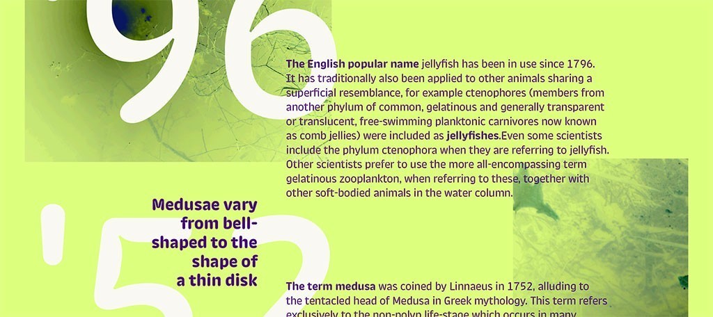 Trench Rounded Բ����ī����Ӣ������