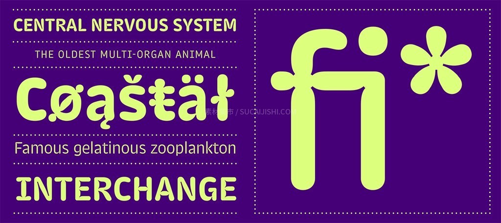 Trench Rounded Բ����ī����Ӣ������