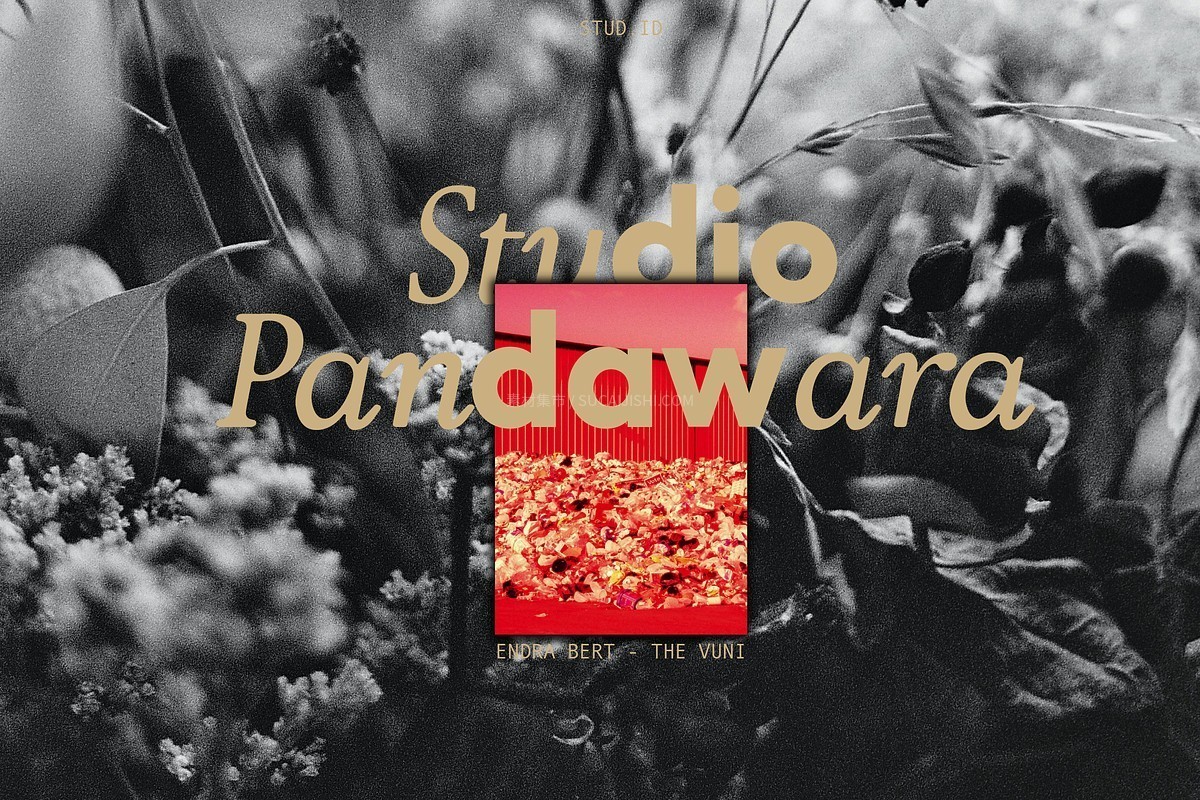 ZT Bros Oskon 90s �������ų�������������