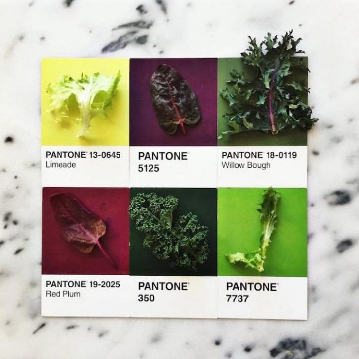 ����Ȼ��ɫ���䷽����ʳ�á���ͨɫ��