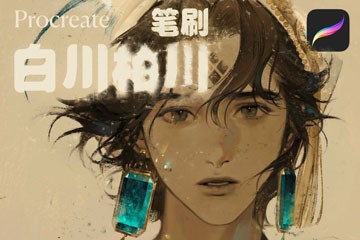 26֧�״��ش����ò廭��ˢ��װ��Procreate+PS+CSP��