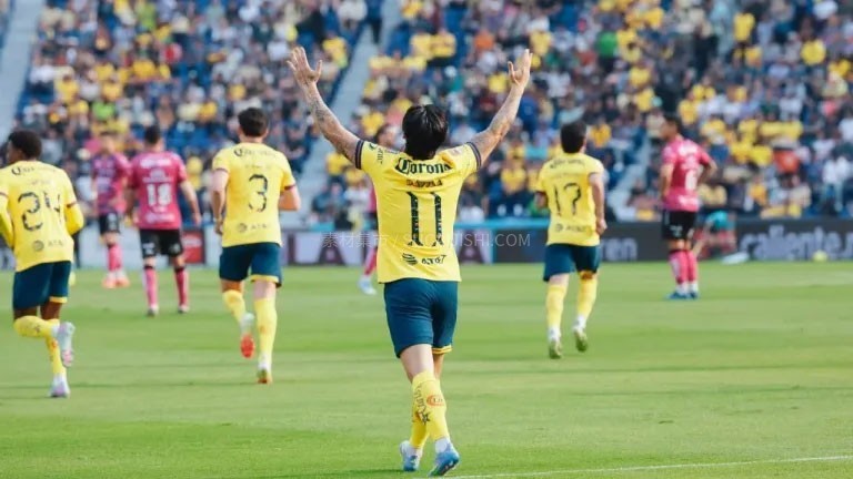 ���޾��ֲ� 2024-2025 ��������