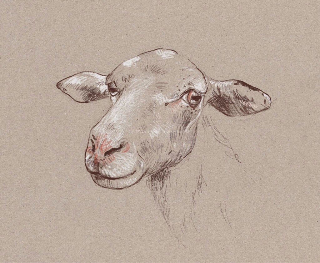 Procreate��ʵ����̿�ʱ�ˢ��װ