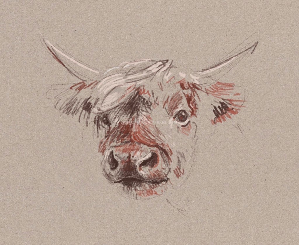 Procreate��ʵ����̿�ʱ�ˢ��װ