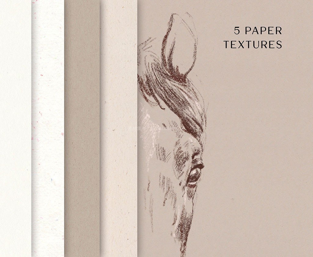 Procreate��ʵ����̿�ʱ�ˢ��װ