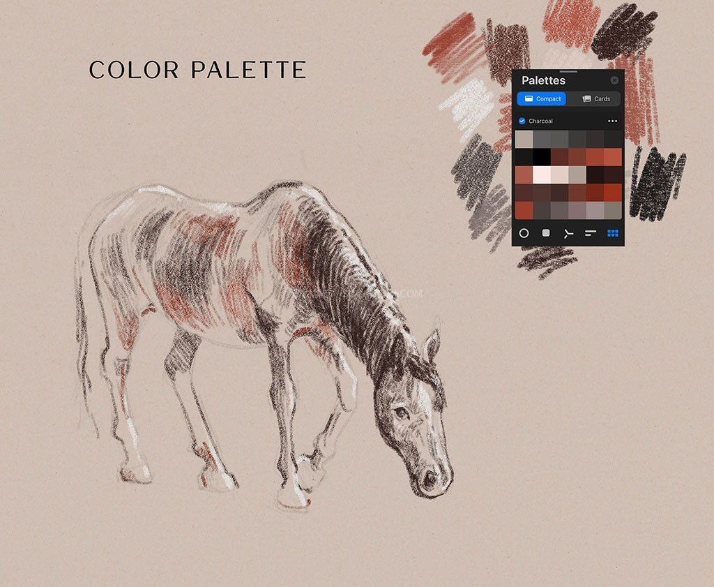 Procreate��ʵ����̿�ʱ�ˢ��װ