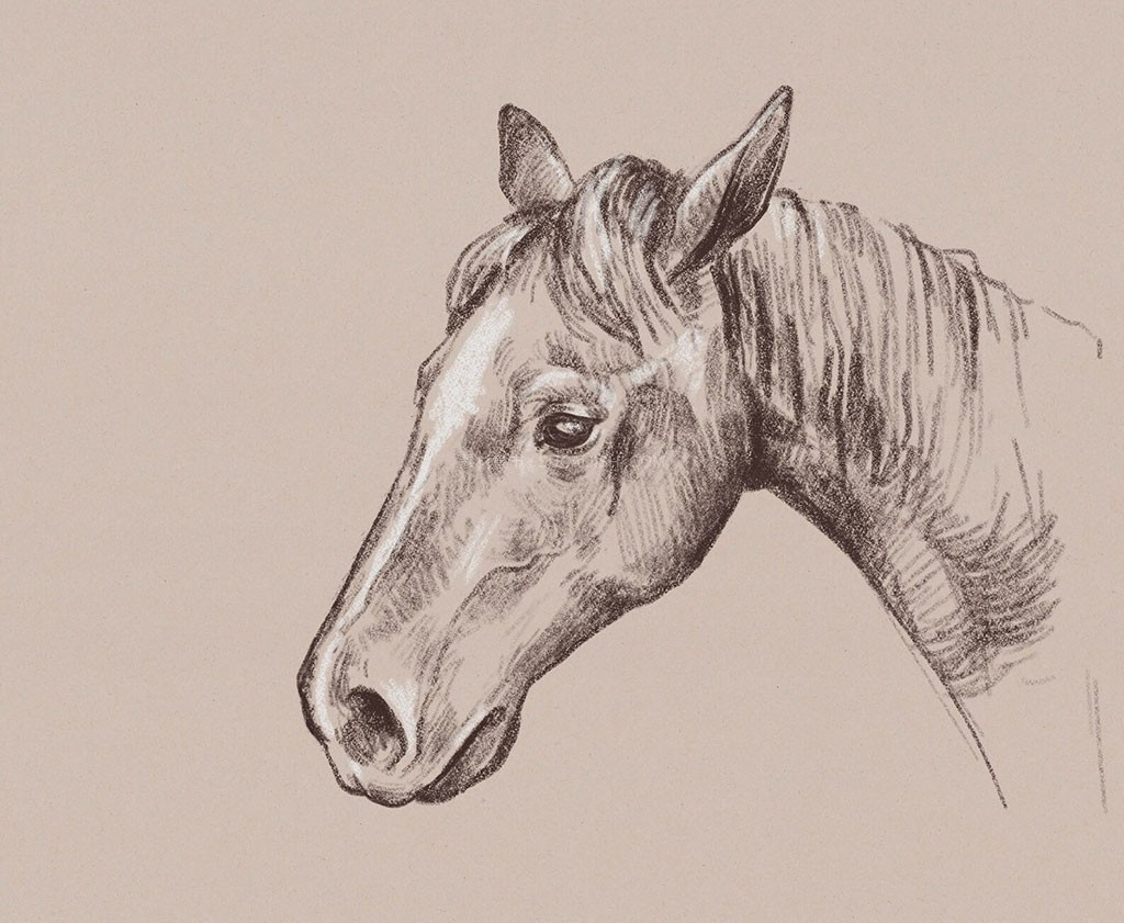 Procreate��ʵ����̿�ʱ�ˢ��װ