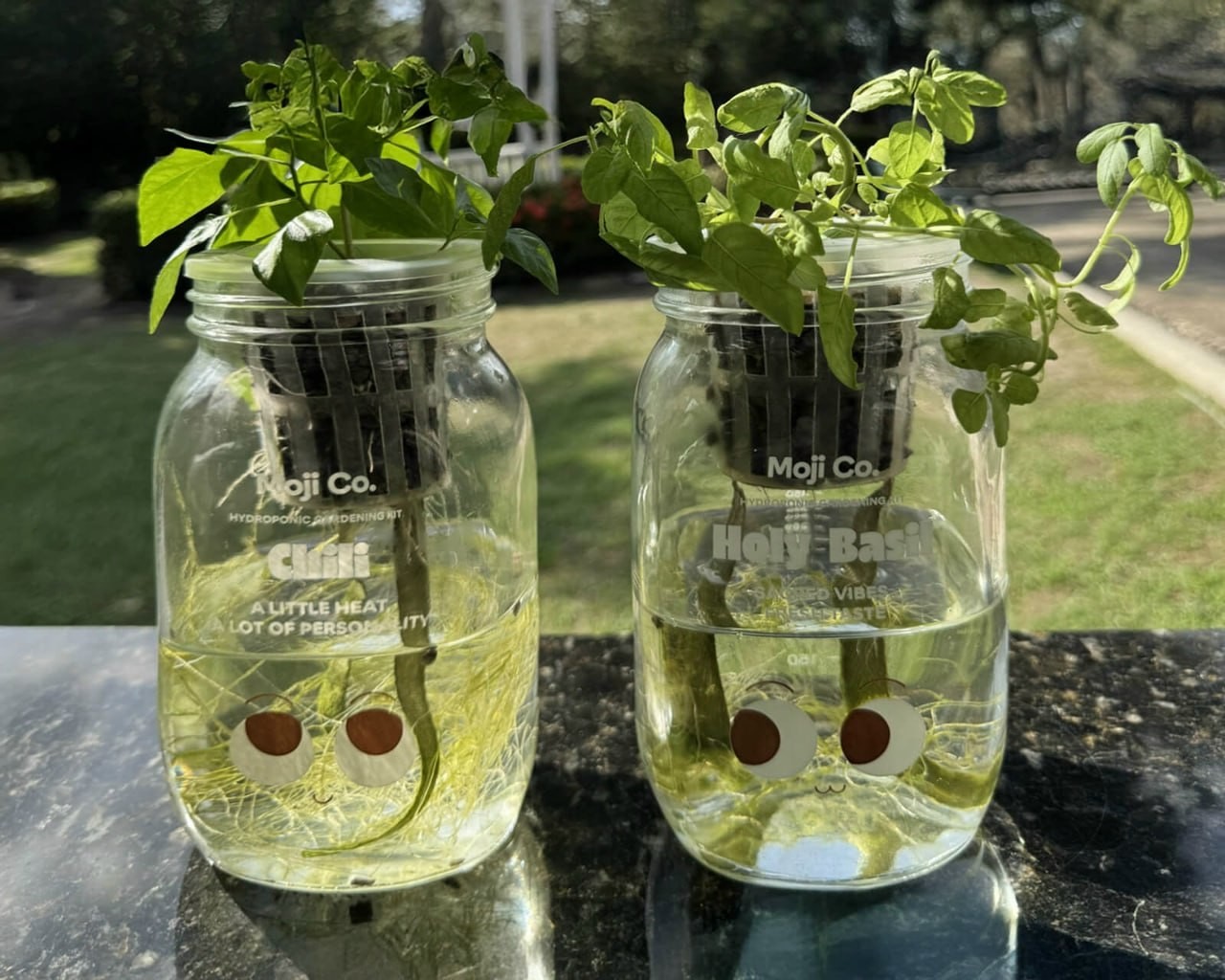 MojiCo԰�հ�װ���