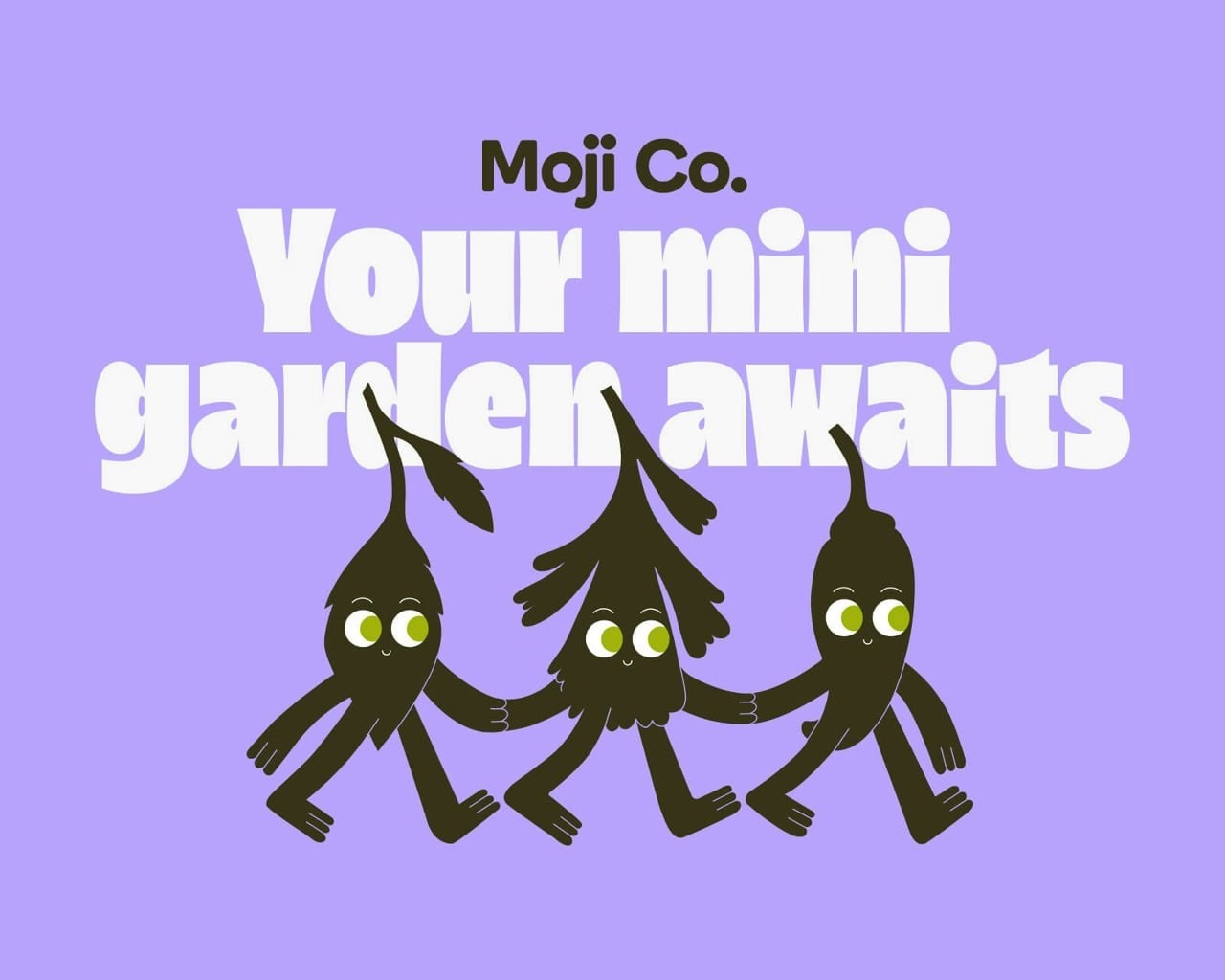 MojiCo԰�հ�װ���