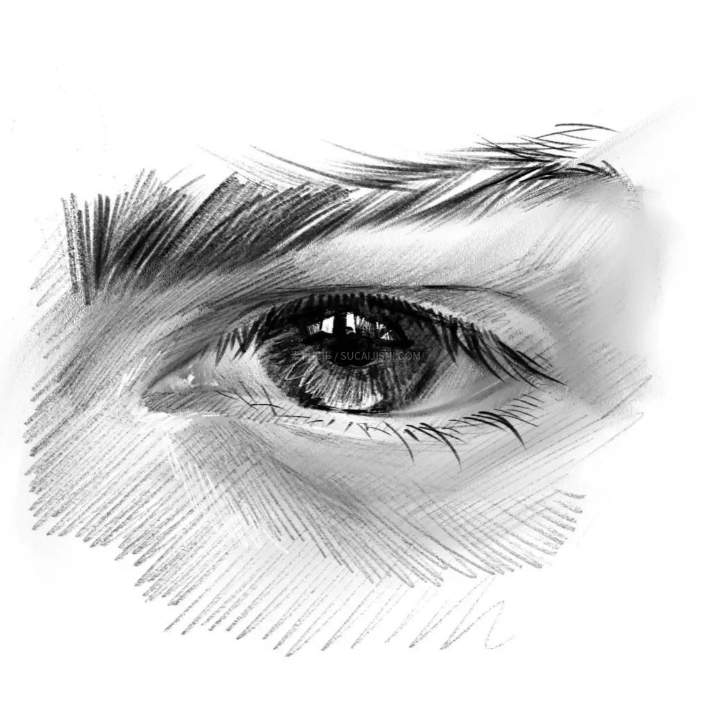 50֧����Ǧ��Procreate��ˢ(��ֽ��)