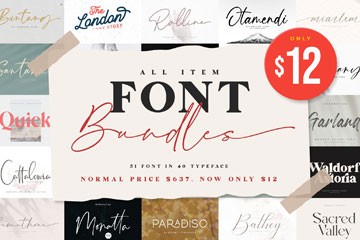 40��ȫ�ܶ����Ű�����Ӣ������