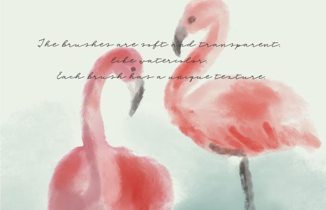 Procreate�汾��ˮ�ʲ廭��ˢ