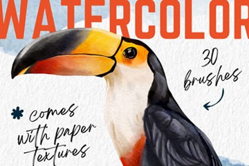 30֧�߼�Procreate��ʵˮ��Ч����ˢ