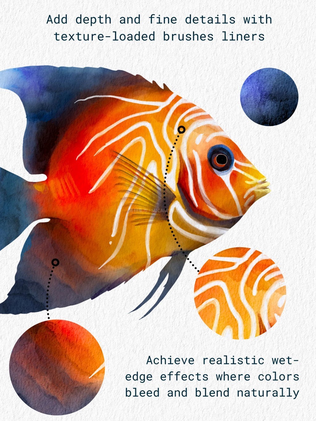 30֧�߼�Procreate��ʵˮ��Ч����ˢ