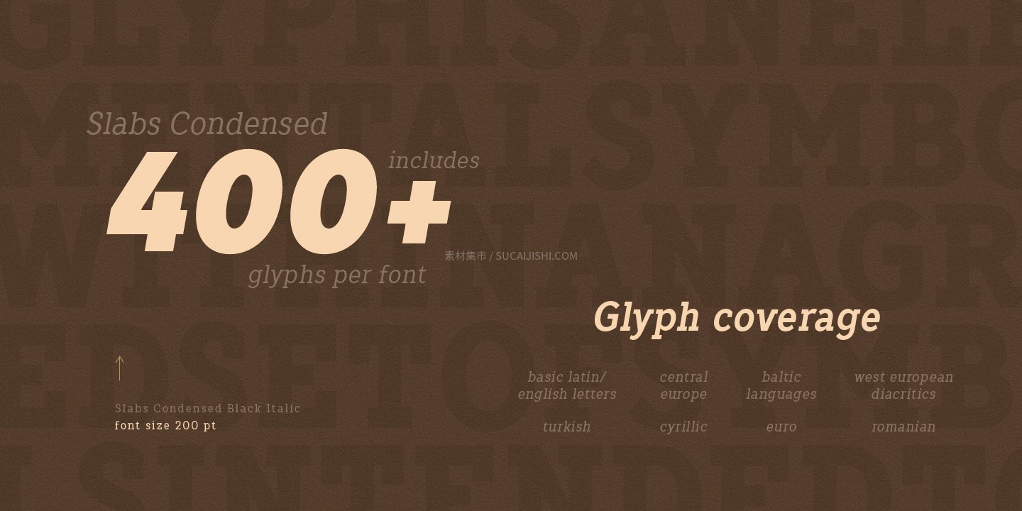 TT Slabs Condensed ������Ӣ�ı�������