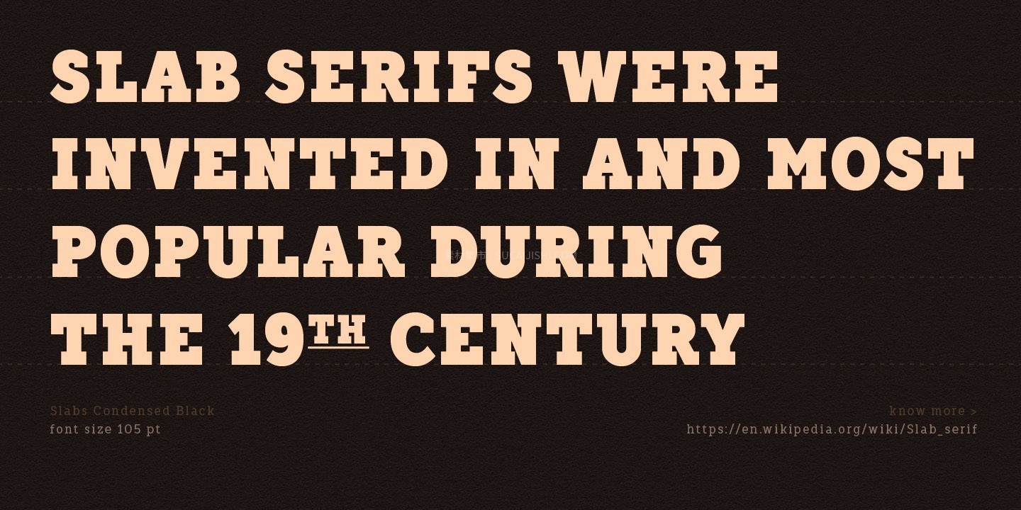 TT Slabs Condensed ������Ӣ�ı�������