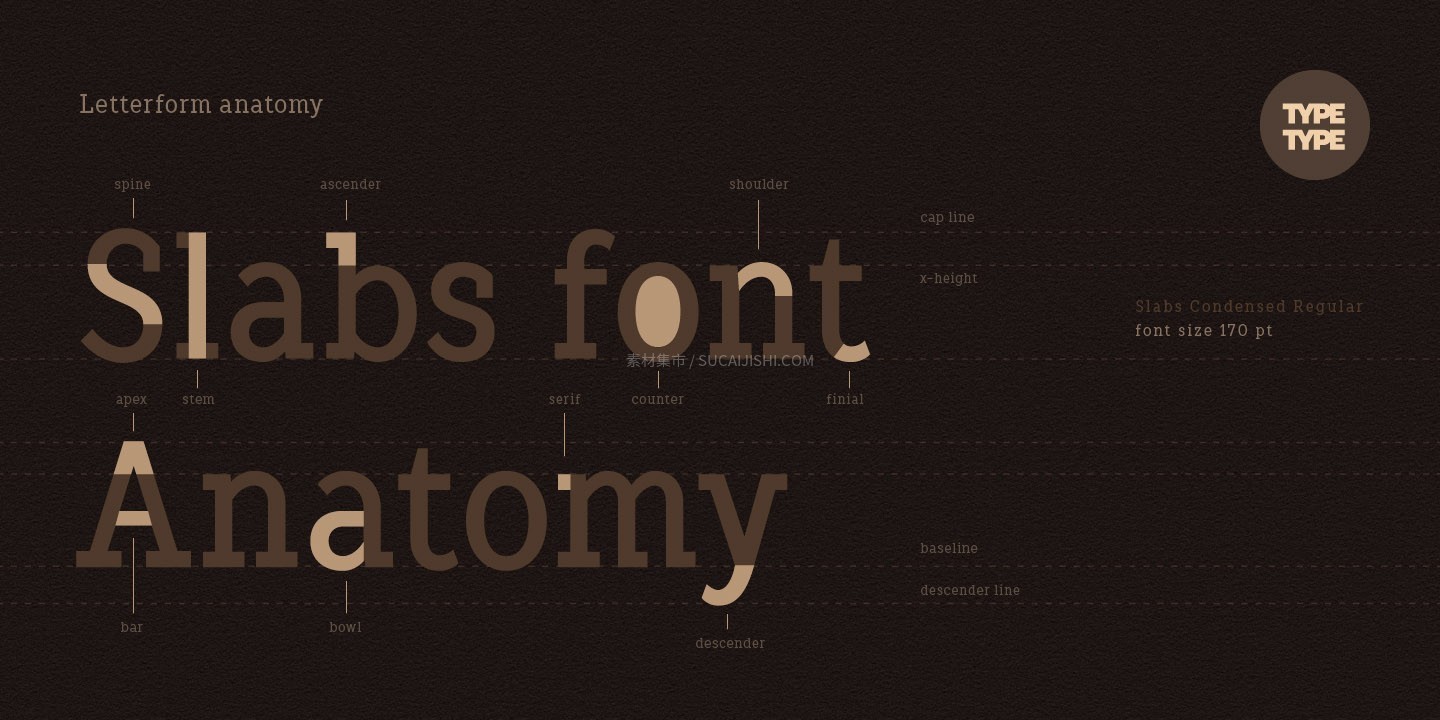 TT Slabs Condensed ������Ӣ�ı�������