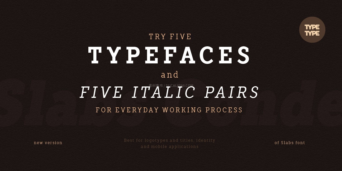 TT Slabs Condensed ������Ӣ�ı�������