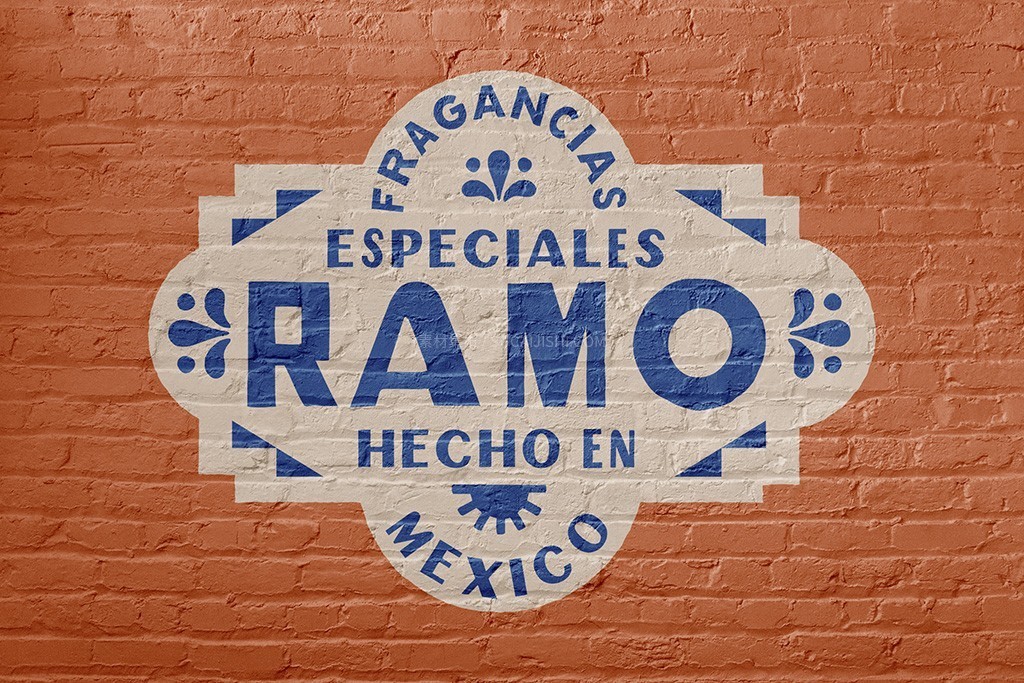Ramoī��������ֻ���������
