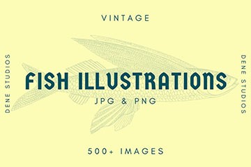 500+��������廭����ͼƬ�ز�PNG