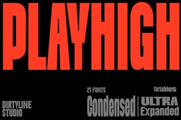 DX Playhigh �ɱ��޳�������