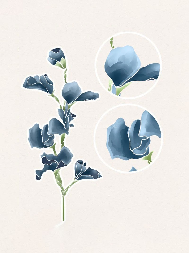 20֧��ʵˮ������Procreate��ˢ